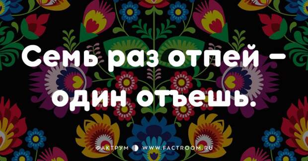 20 смешных современных поговорок, которых вы ещё не слышали 20 смешных современных поговорок, которых вы ещё не слышали