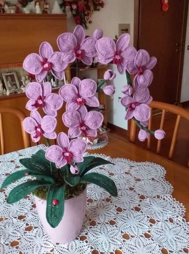 Орхидея - фото из интернета.