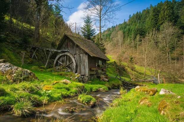 Природа. Фото: pixabay.com Природа. Фото: pixabay.com