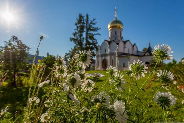 3 июля – день памяти святого мученика Мефодия Патарского и народный праздник Мефодий Перепелятник