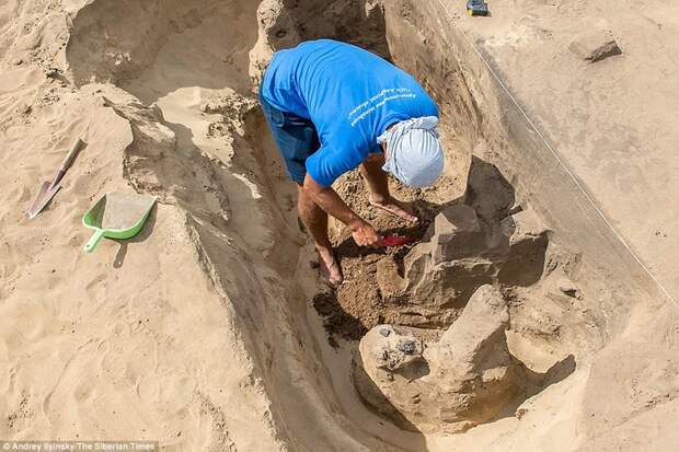 В России нашли 1300-летний «танцующий скелет» и его могила уникальна могила, находка, скелет