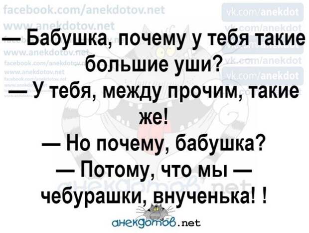 Анекдоты - лучшее от "анекдотовнет" Анекдоты - лучшее от "анекдотовнет"