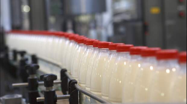 ЕС отказался от украинской молочной продукции из-за повышенного содержания антибиотиков