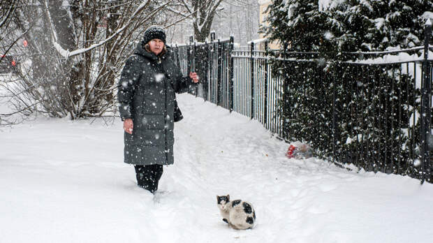 Улицы Петербурга покрылись сугробами из-за циклона «Фрэнсис»