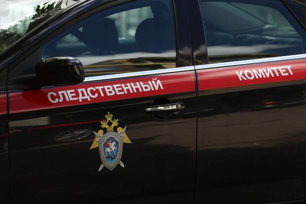 Чемодан с изрезанным телом мужчины нашли около водоема в Москве