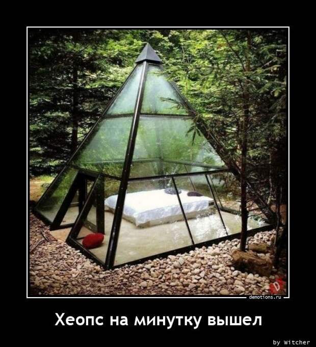 Демотиваторы дня (20 фото)