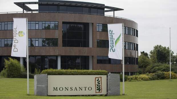Корпорация Monsanto объявила о выпуске первых генномодифицированных сорняков