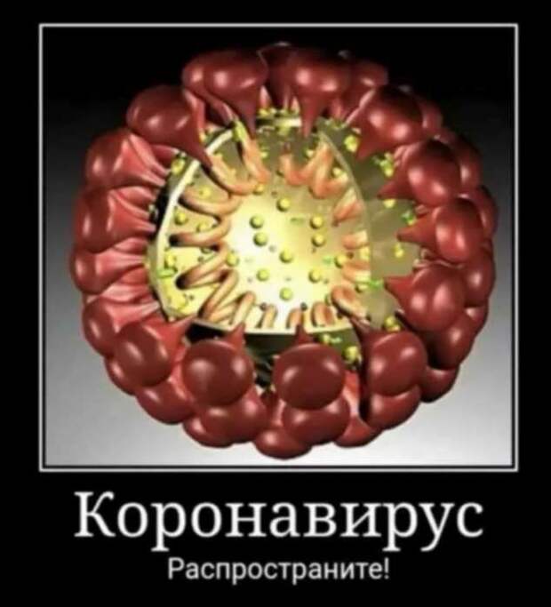 Демотиваторы про коронавирус с надписями. Подборка chert-poberi-dem-koronavirus-chert-poberi-dem-koronavirus-59220329102020-7 картинка chert-poberi-dem-koronavirus-59220329102020-7