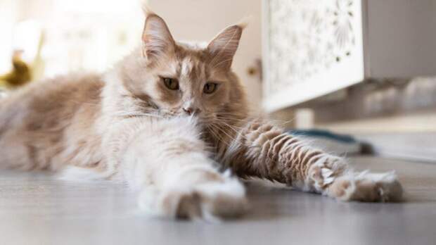 Народные приметы на 7 февраля