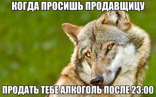 Смехотерапия.  30 приколов, чтобы отдохнуть