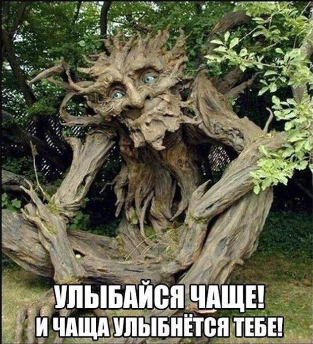 Прикольные картинки. Вечерний выпуск (59 фото)