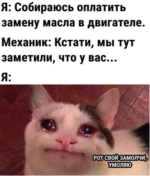 Приколы в картинках свежие (30)