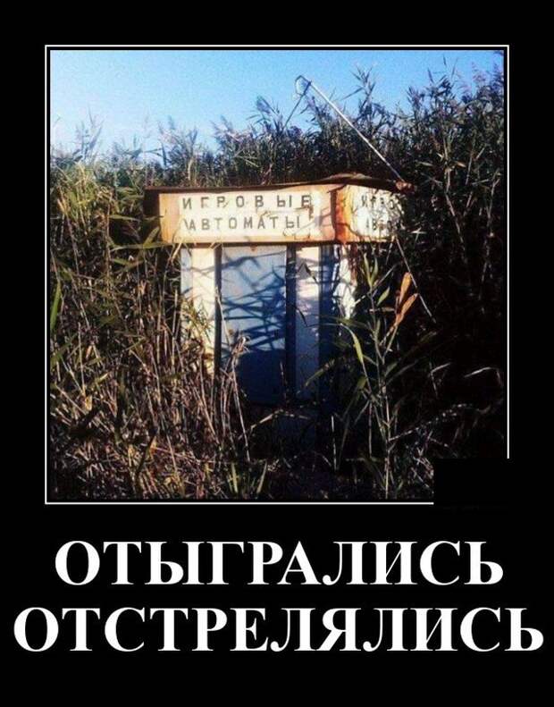 Демотиваторы 5 августа 2021 года