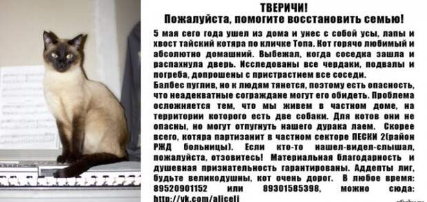 Необычайно забавные объявления о поиске пропавших животных