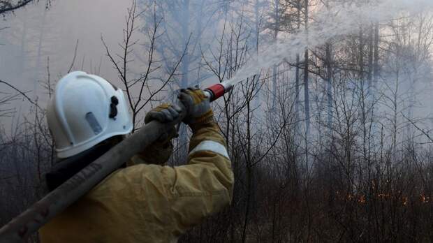 В Татарстане назвали основную причину лесных пожаров в регионе