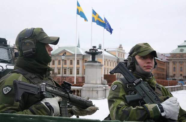 Раскрыты экономические интересы Швеции в продолжении украинского конфликта
