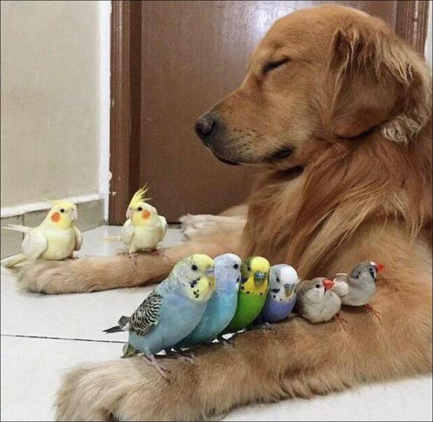 фото приколы