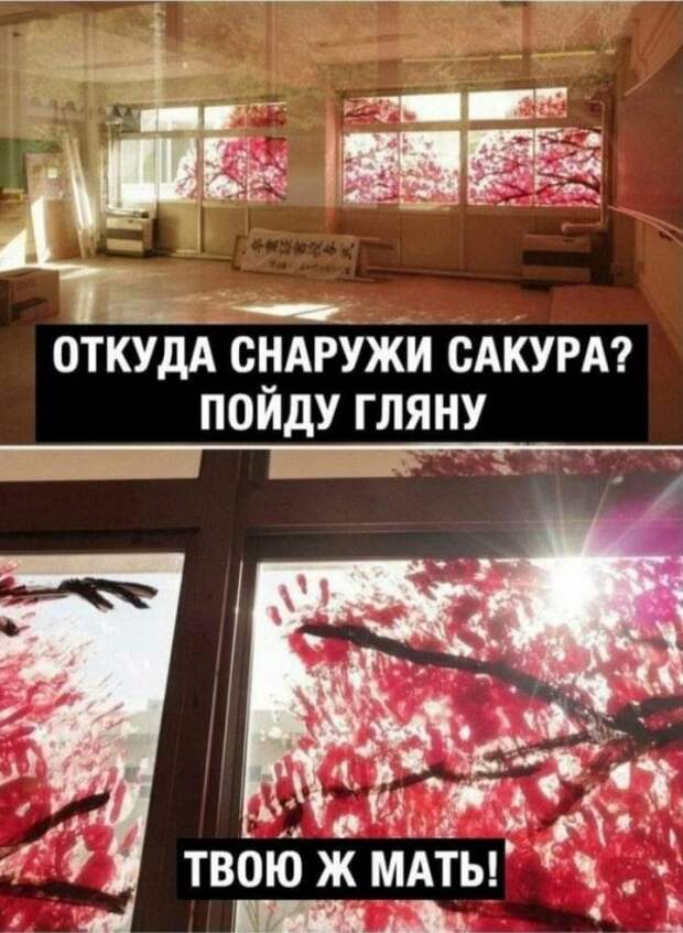 Юмор на любителя Юмор на любителя