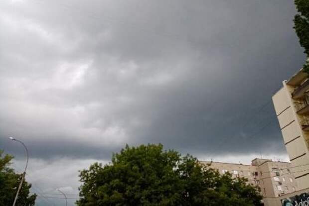 В ближайшие часы в Тамбовской области ожидается усиление ветра