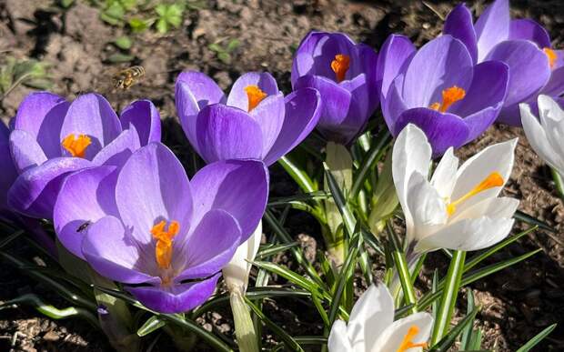 Рязанцев обнадежили прогнозом погоды на весну