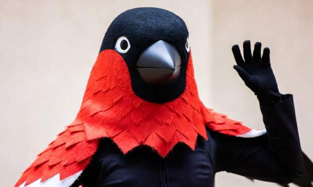 Кто был под маской Снегиря, покинувшего 9 выпуск 7 сезона шоу «Маска»