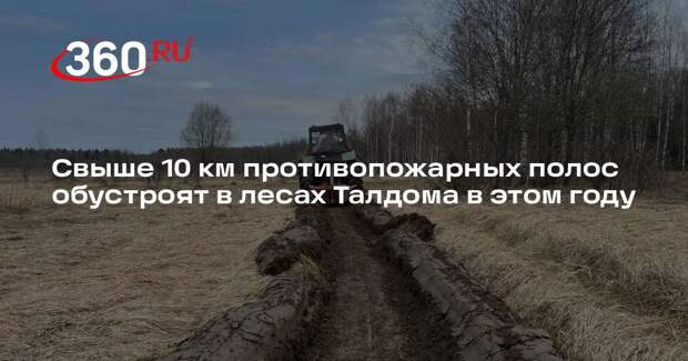 Свыше 10 км противопожарных полос обустроят в лесах Талдома в этом году
