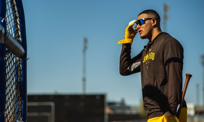 manny machado spring training new rules
