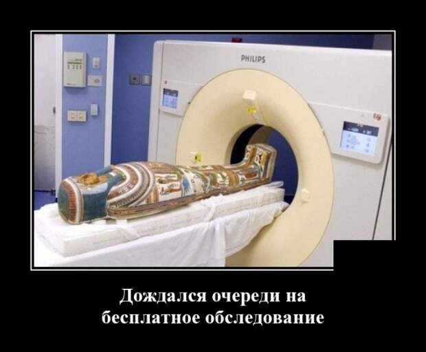 Демотиваторы (30 фото)