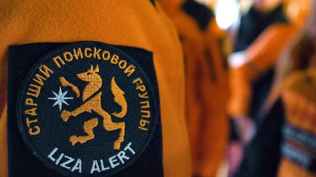 В «ЛизаАлерт» анонсировали продолжение поисков семьи Усольцевых