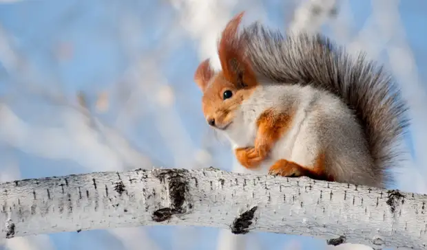 Контроль за продуктами, морозы и уход «Ракушки»: чем жил Татарстан