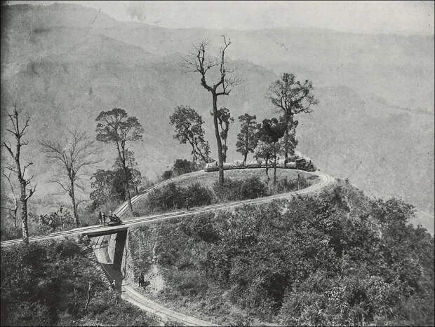 фото приколы