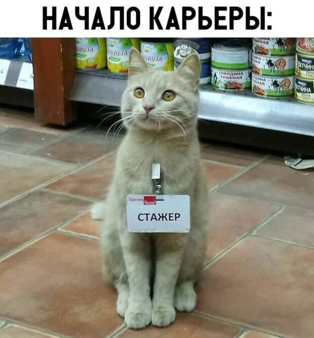 Подборка картинок (32 фото)