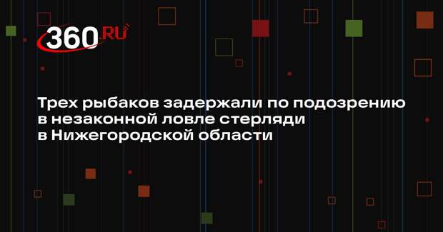 Трех рыбаков задержали по подозрению в незаконной ловле стерляди в Нижегородской области