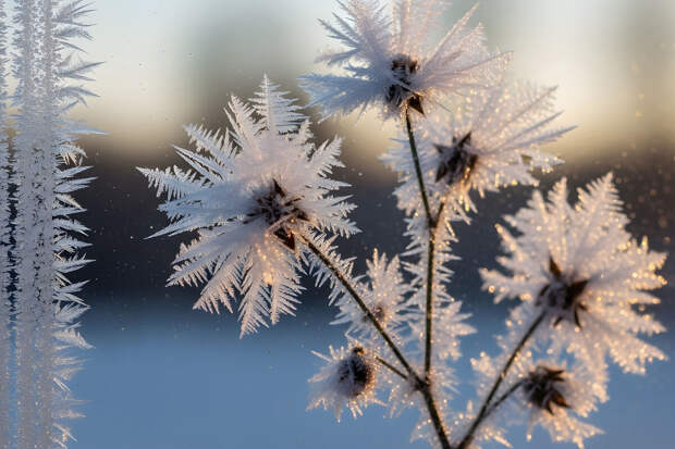 Синоптик Тишковец: ночь на 1 февраля в Москве стала самой морозной с начала зимы