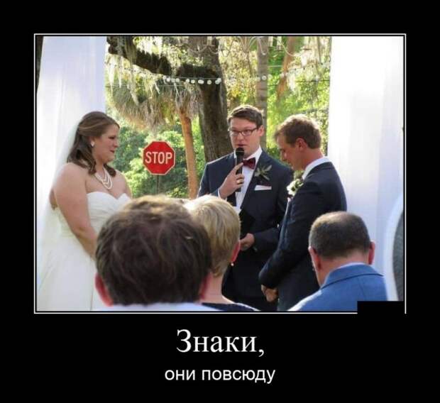 Демотиваторы (20 фото)