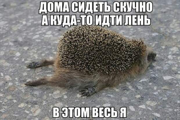 Интересные картинки с надписями для настроения (10 фото) Интересные картинки с надписями для настроения (10 фото)