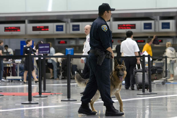 Туристка приехала в США на встречу с мужчиной и пропала без вести