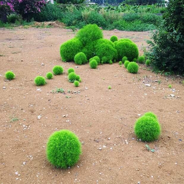 kartinok-veselyh-interesnyh-kartinki-smeshnye-kartinki-fotoprikoly kartinok-veselyh-interesnyh-kartinki-smeshnye-kartinki-fotoprikoly