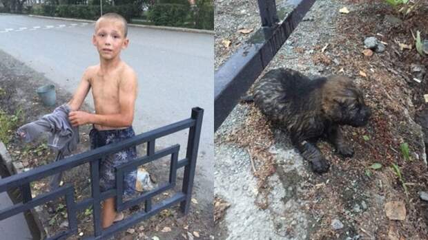 В Ревде 12-летний мальчик спас щенка, едва не утонувшего в сточной канаве животные, спасение