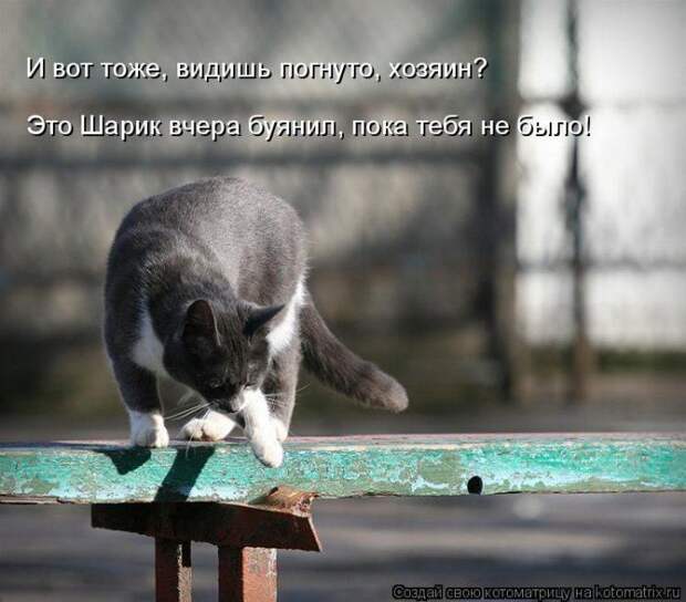 Мысли вслух :)