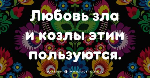 20 смешных современных поговорок, которых вы ещё не слышали 20 смешных современных поговорок, которых вы ещё не слышали