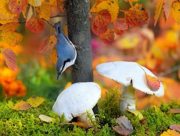 Фотограф – Влад Владиленов