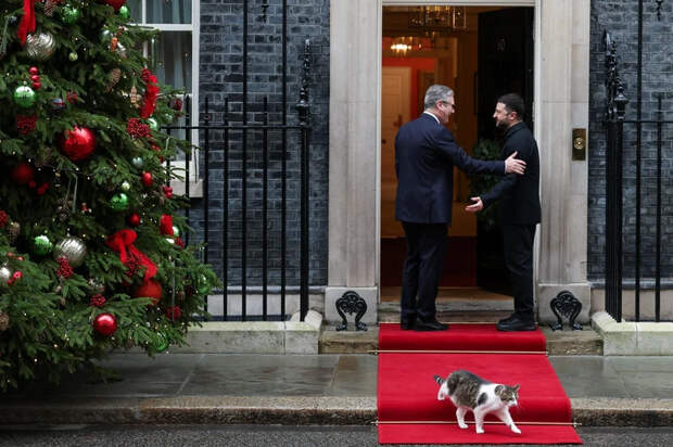 Кот Ларри доверие оправдал