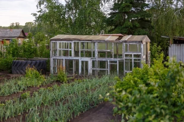 Эколог Петров рассказал, нашествия каких вредителей ждать дачникам