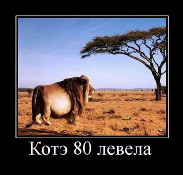 Прикольные демотиваторы с надписями. Подборка chert-poberi-dem-chert-poberi-dem-27280614122020-14 картинка chert-poberi-dem-27280614122020-14