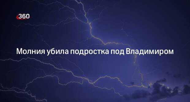Один подросток погиб, четверо погибли после удара молнии во Владимирской области
