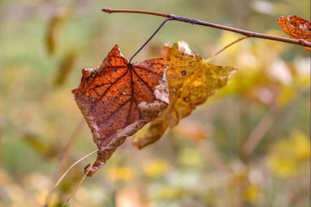 Фотолайфхак: Акцент