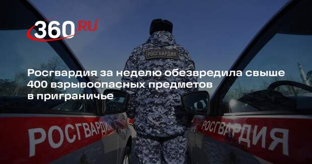 Росгвардия за неделю обезвредила свыше 400 взрывоопасных предметов в приграничье