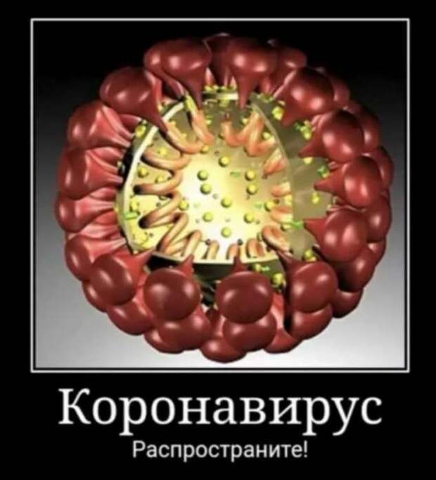 Демотиваторы про коронавирус с надписями. Подборка chert-poberi-dem-koronavirus-chert-poberi-dem-koronavirus-37280203102020-11 картинка chert-poberi-dem-koronavirus-37280203102020-11