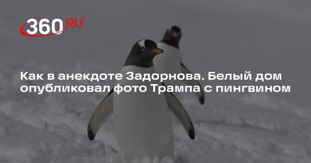 Белый дом опубликовал фото Трампа с пингвином в Гренландии